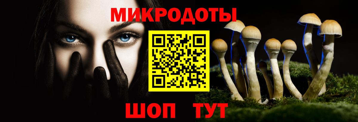 Галлюциногенные грибы MAGIC MUSHROOMS  продажа наркотиков  Владимир  Вход с VPN  Псилоцибиновые грибы GOLDEN TEACHER 