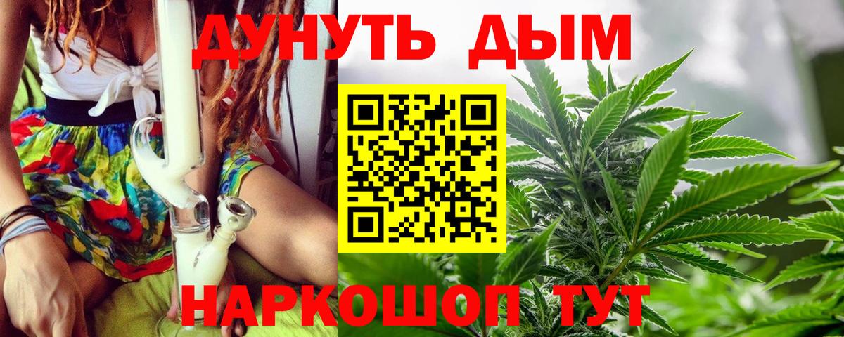 Канабис планчик Владимир
